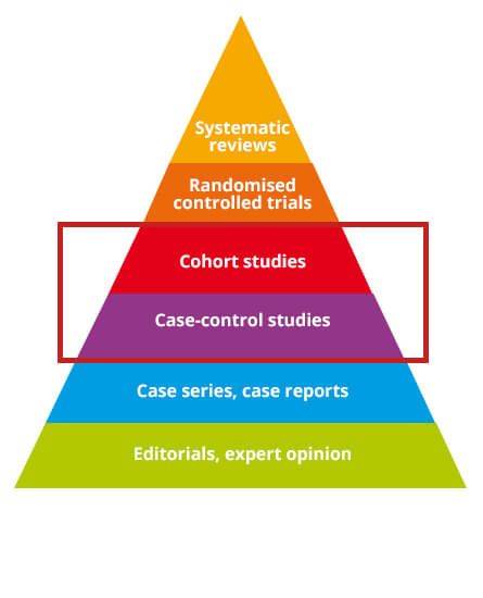 statistica-piramide