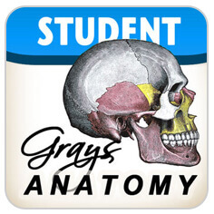 app-grays-anatomy