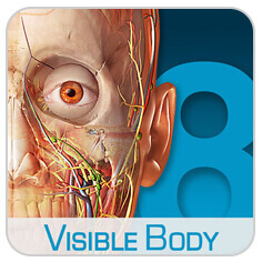 app-visible-body