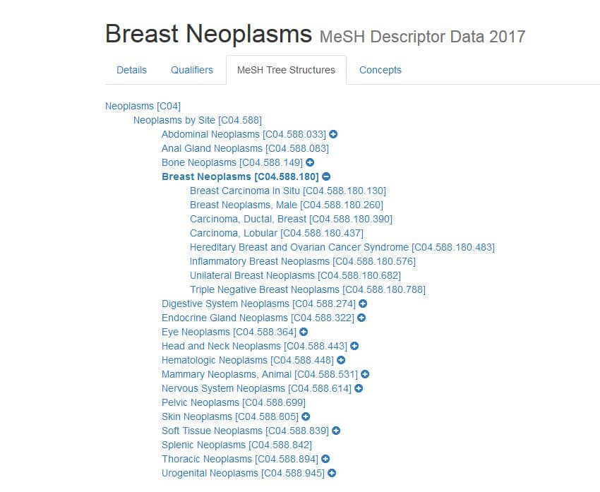 Figura 3 - Il ramo dell’albero in cui compare il termine MeSH “breast neoplasms”