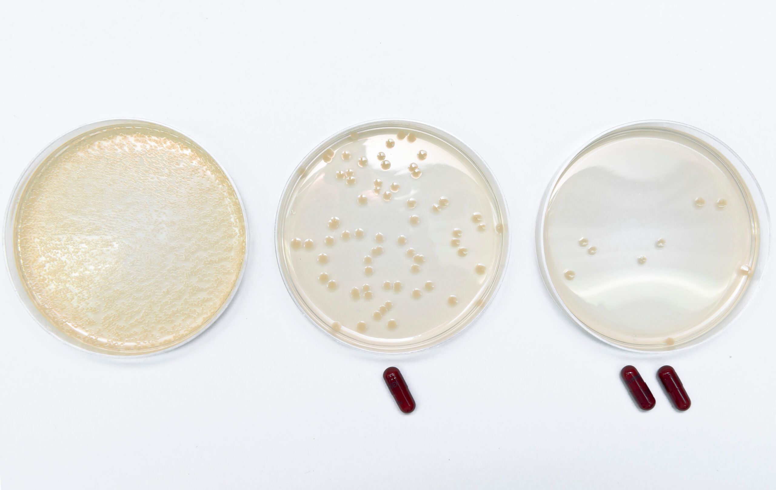 Microbiological,Experiments,For,Antibiotics,Development,Using,Superbacteria,,Multi,Drug,Resistant