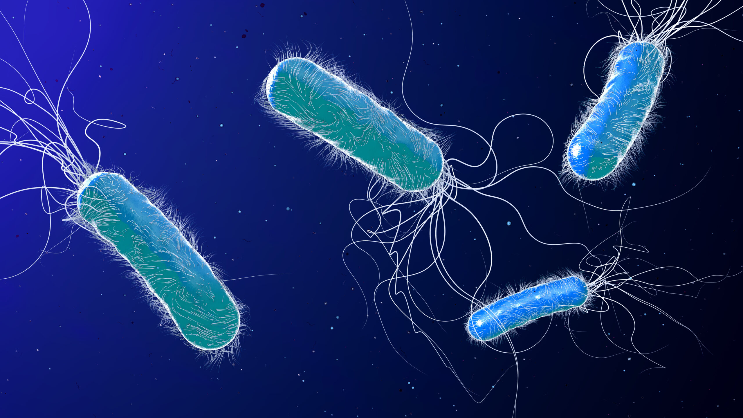 Blue,Colored,Multiple,Antibiotic,Resistant,Pseudomonas,Aeruginosa,Bacterium,-,3d